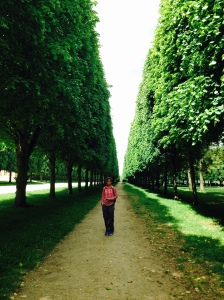 Trees lining the path to the Petit Trianon